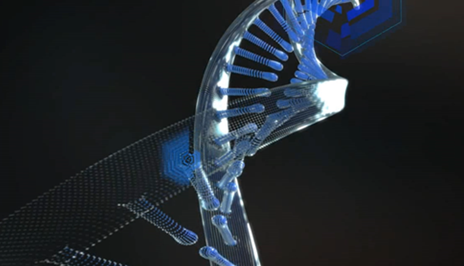 impactzone - Beispiele